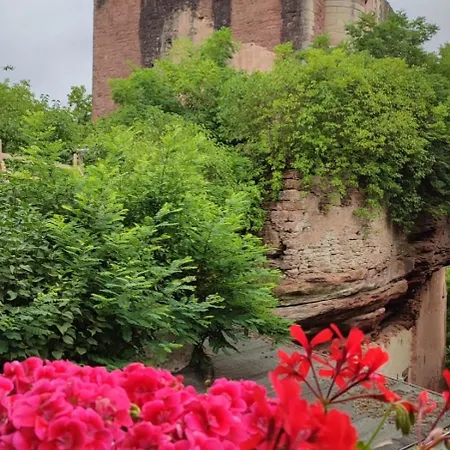 Hotel Hotel-restaurant Burg-ramstein