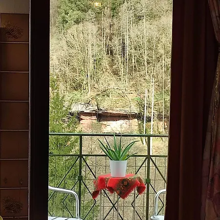 酒店 Hotel-restaurant Burg-ramstein *