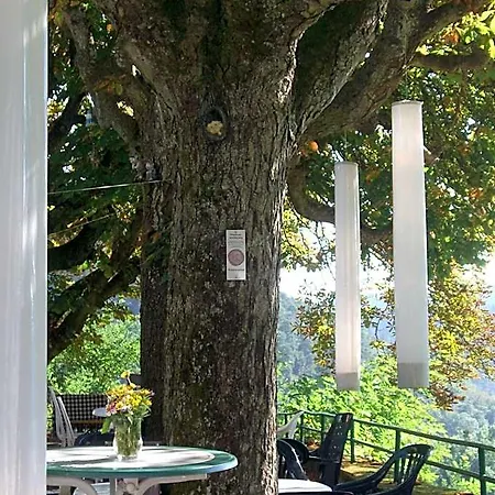 Hotel Hotel-restaurant Burg-ramstein Kordel