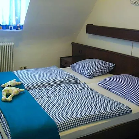 Hotel Hotel-restaurant Burg-ramstein *