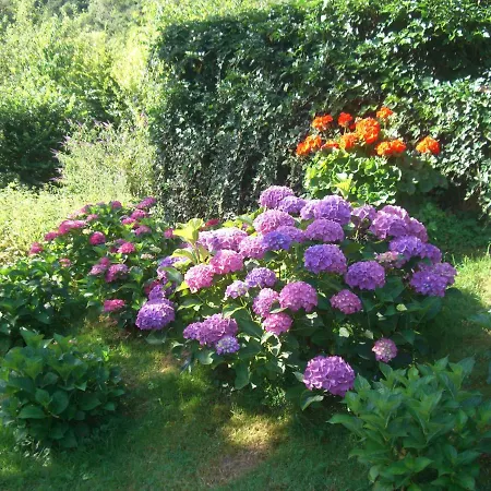 Hotel-restaurant Burg-ramstein Kordel