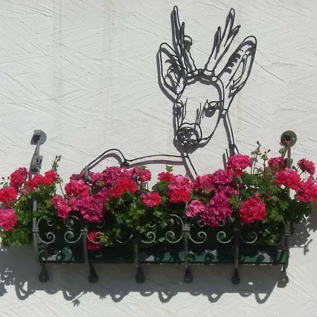 酒店 Hotel-restaurant Burg-ramstein Kordel