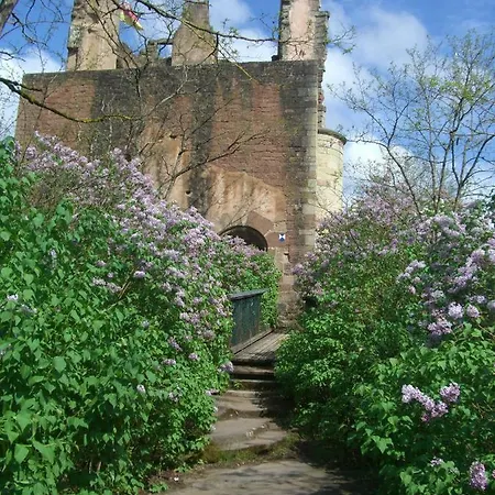 酒店 Hotel-restaurant Burg-ramstein