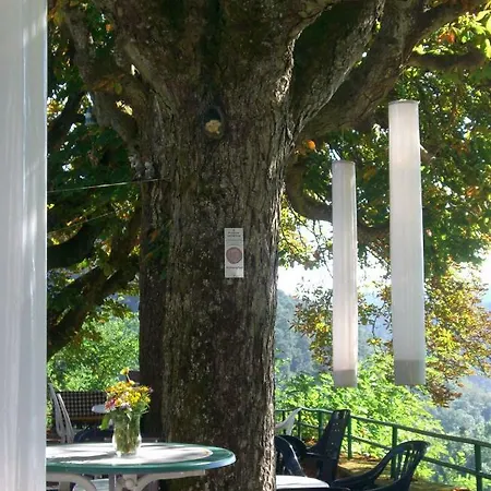 Hotel-restaurant Burg-ramstein 酒店 Kordel