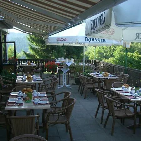 Hotel-restaurant Burg-ramstein Otel *
