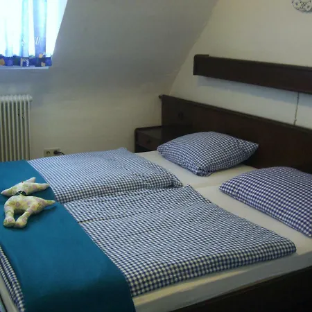 Hotel Hotel-restaurant Burg-ramstein