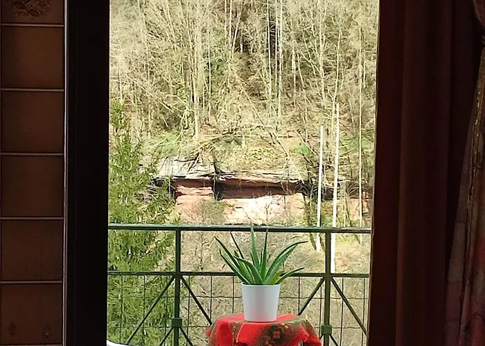 Hotel Hotel-restaurant Burg-ramstein *