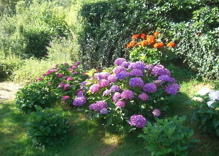 Hotel-restaurant Burg-ramstein Kordel