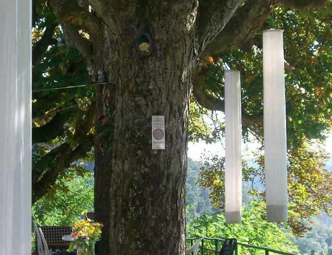 Hotel-restaurant Burg-ramstein Hotel Kordel